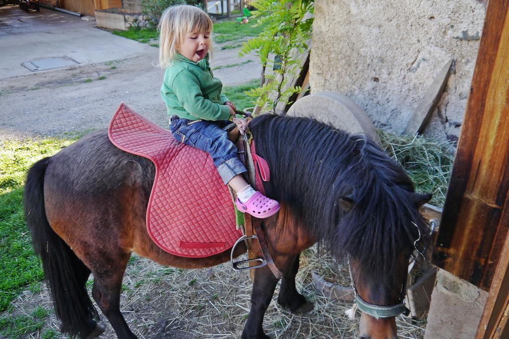 Ferienbauernhof Wieserhof Fiè Eksteriør billede